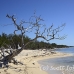 beach_jar_h_0731_cub2897.jpg